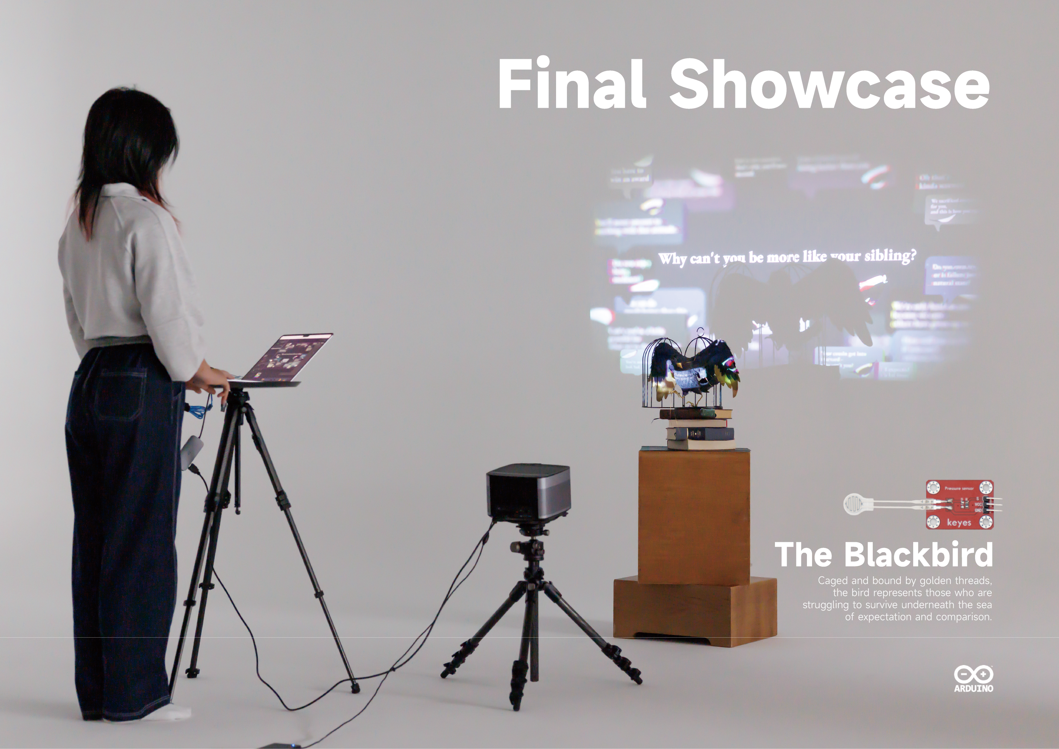 Project1 Final Showcase